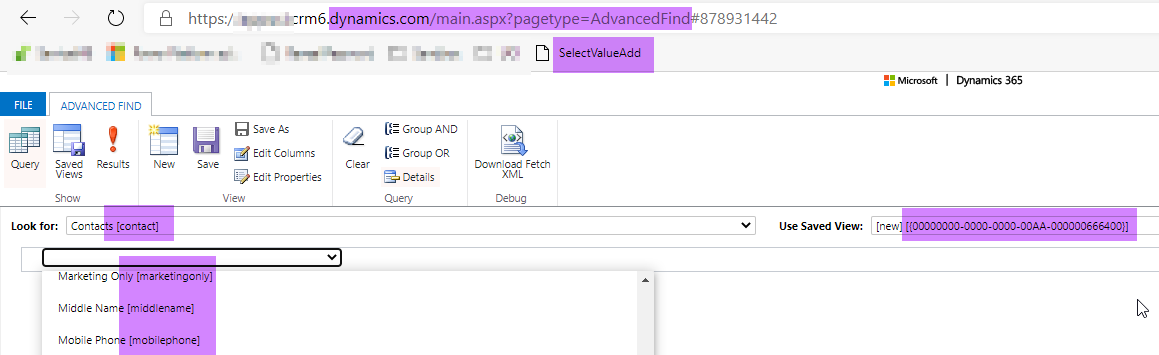 Dynamics Advanced Find: Reveal Schema Names in select